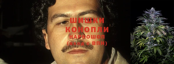 стафф Аркадак