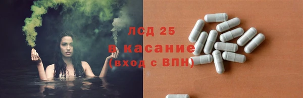 стафф Аркадак