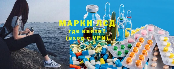 стафф Аркадак