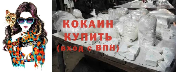 стафф Аркадак