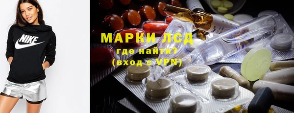 стафф Аркадак